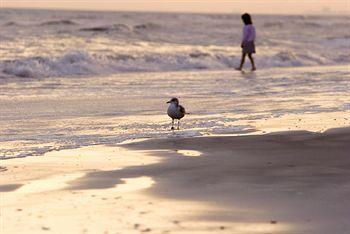 Club Wyndham Dye Villas North Myrtle Beach Buitenkant foto